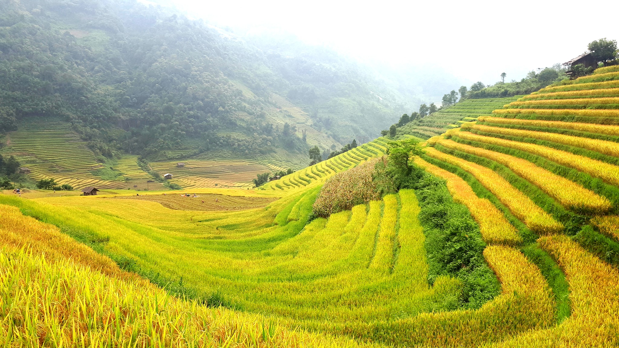 Stop collecting entrance fees at some tourist attractions in Sapa - Sapa